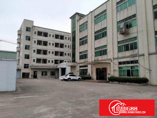 大朗洋乌原房东一楼1000平方厂房出租可办环评