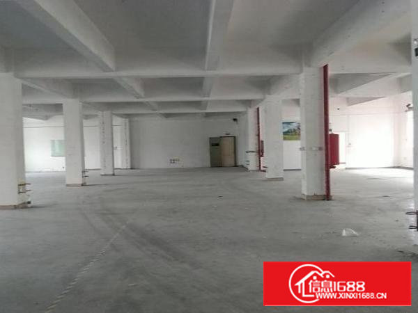 沙井新桥新二107国道旁6500平米村委厂房出租