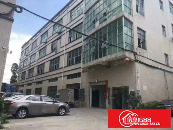 常平新出全新地坪漆二楼1300平10元四楼650平8元出租