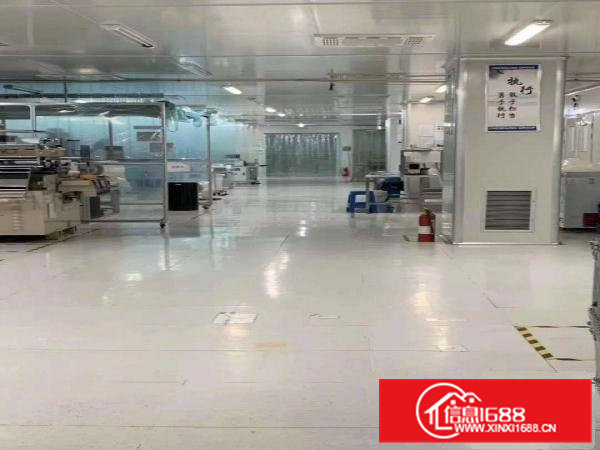石排无尘车间标准厂房分租楼上600~1500平方有办公室装修