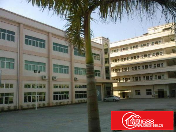 陈江带装修小厂房出租200到800平米