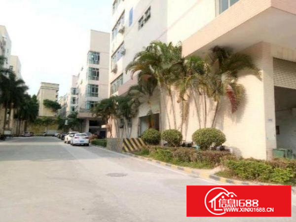 西乡无公摊厂房一楼整层1180平米招租