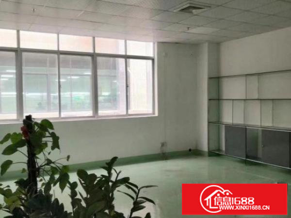 龙岗出楼上1000平标准厂房实际面积出租