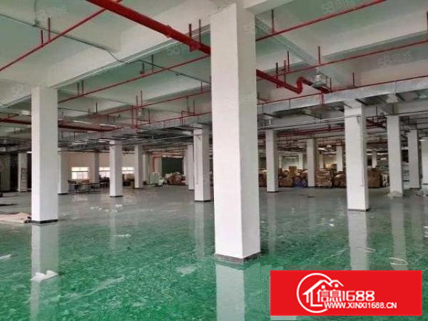 大朗蔡边新出二楼1000方厂房，10元，有装修，可分租