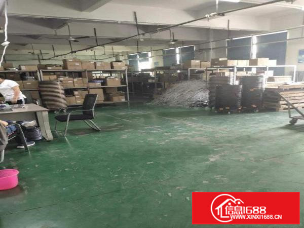 大岭山镇龙大高速附近空出带装修2楼约2250平方