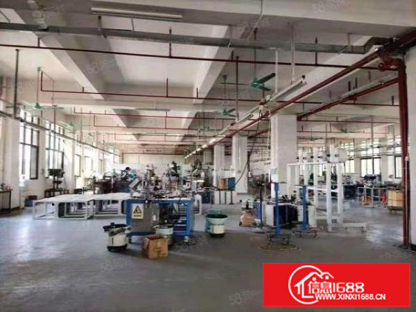 凤岗新出一楼1000平方交通方便水电齐全