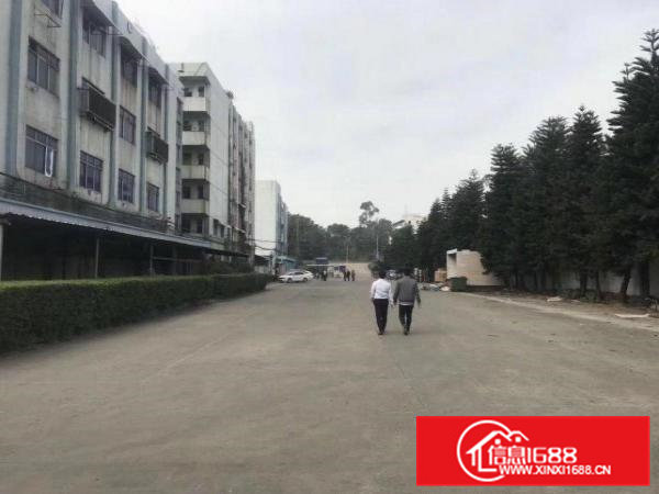 大岭山独门独院精装修厂房出租面积120000平米可分租