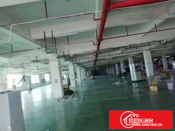 龙岗坪地低碳城产业园红本厂房新出一二楼共4000平