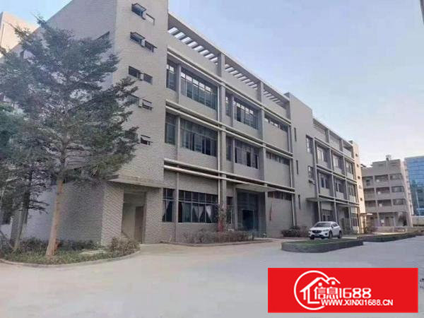 带红本主干道边上凤岗近深圳独院厂房出租17900平