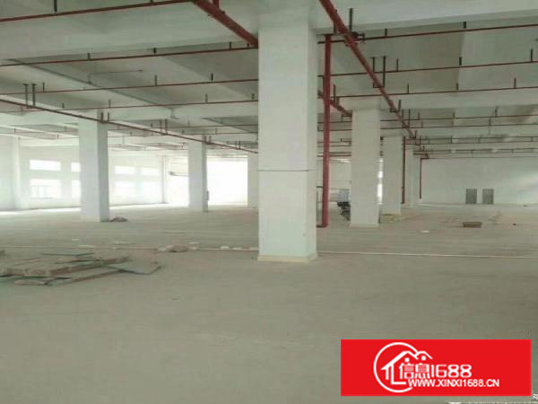 位于坪地坪西全新独院厂房招租2100可分租，