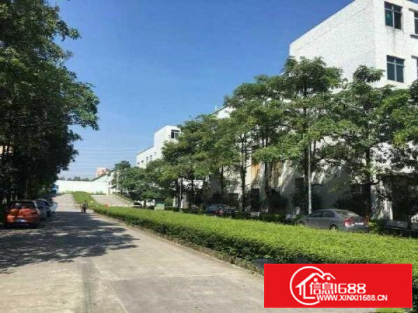 豪华装修400平米转租常平白石岗科技园（非中介）