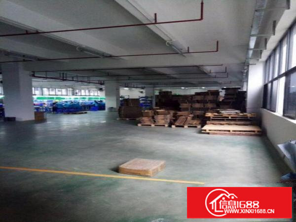 凤岗碧湖工业区带装修电子装配厂房出租1000