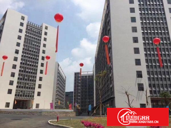 高新产业龙岗全新红本厂房货量不多低价出租