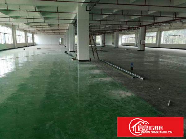 镇隆原业主独院1~4层标准厂房面积8000平米出租