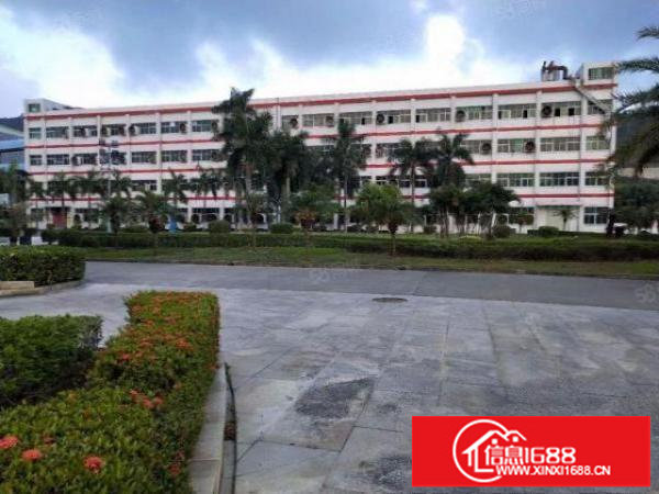 靓！爱联嶂背工业区250平450平500平村委厂房出租