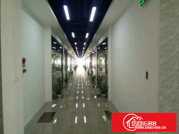 独门独栋办公物流，办公，幼儿园.电商产业数据库培训