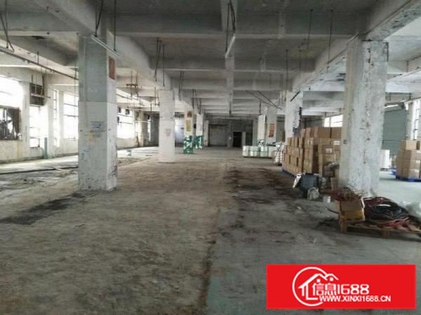 平湖大望工业区附近新出1300平米一楼厂房招租