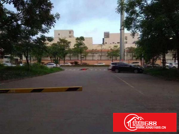 出租凤岗镇金凤凰工业区