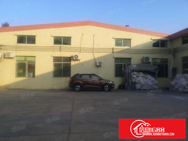 横沥新出单一层独院1500平方原房东直租，高度8米电充足