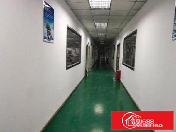 桥头朗厦村楼上260平厂房出租，实量面积