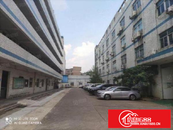 龙岗新生新出楼上厂房500平米出租精装修带红本仅15块