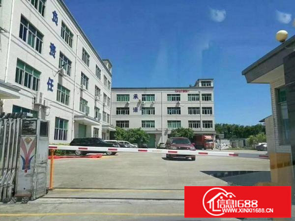 高大上气派坪山红本独院8800平米厂房出租可分租