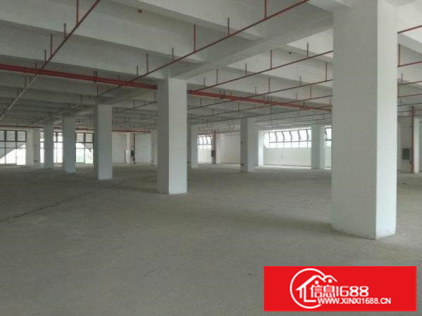 生物医疗厂房一一坪山格兰达全新红本独栋1550平起招商