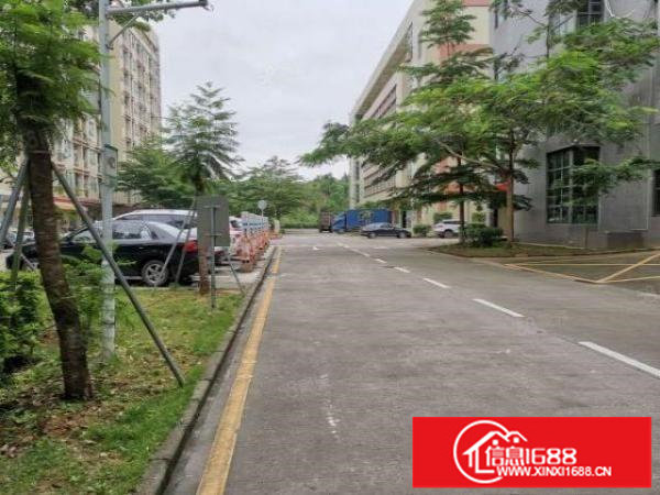 观澜樟坑径下围新出原房东精装修650平厂房出租无需转让费