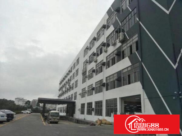 大浪服装基地新出厂房物业直租可分租面积自选可进大车