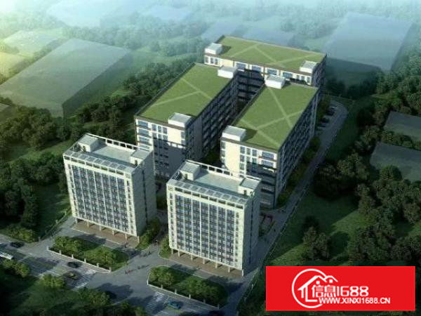 常平红本工业豪华装修厂房1000㎡起租，位于工业聚集地