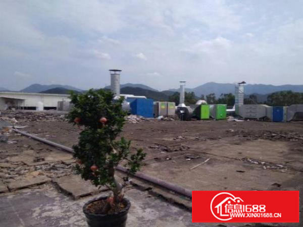 龙岗楼上500平方厂房带喷油环评出租