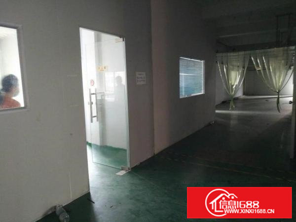 寮步向西2楼900平300平厂房出租无尘车间现成装修拎包入住