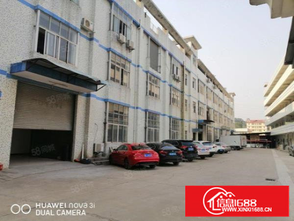 塘厦科苑城新出一楼1500平,现成行车办公,无公摊原房东出租