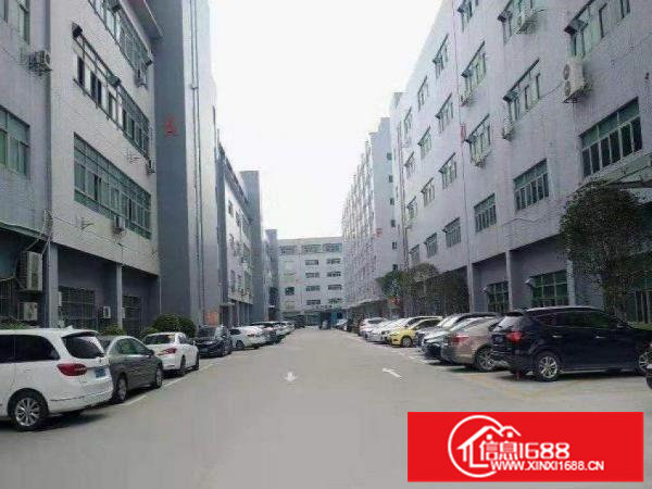 横岗茂兴路招租楼上厂房580平，有红本