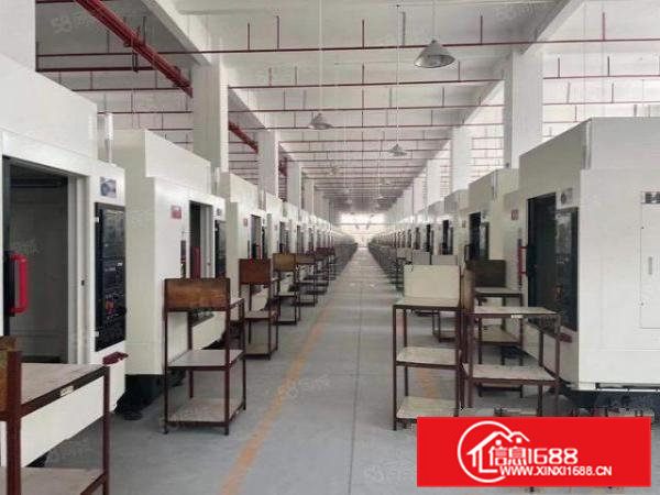 清溪新出一二楼各5800平，全新厂房，全新装修