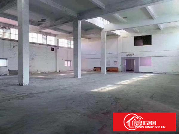 塘厦振兴围新出单一层带阁楼1600平十米高原房东租18元