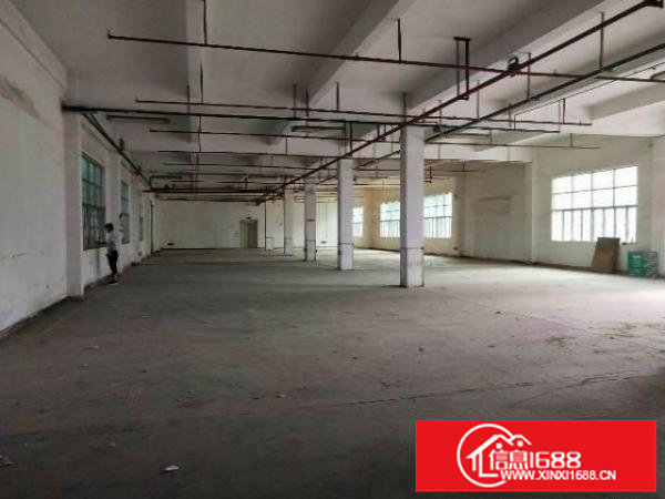 平湖华南城附近新出一楼1260平方带消防喷淋厂房招租