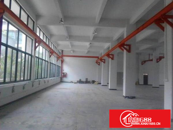 凤岗标准一楼厂房1000至3000平方出租