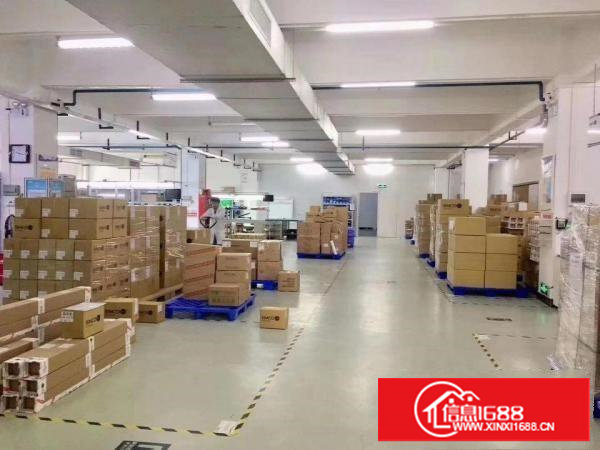 塘厦凤凰岗新出楼上原房东1450平带实际面积，精装修出租