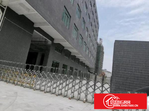 沙头全新自建厂房出租