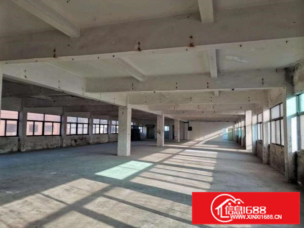 虎门树田工业区标准厂房4楼900平出租带办公室水电齐全