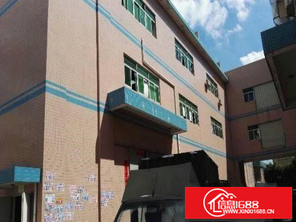 大亚湾新亿厂内整层2300平方带豪华装修厂房招租（可分租）