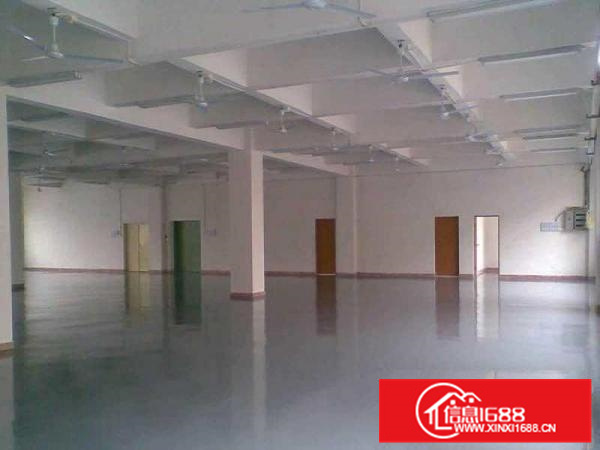 （南国桃园）旁新出标准2层独院7000方，可分租