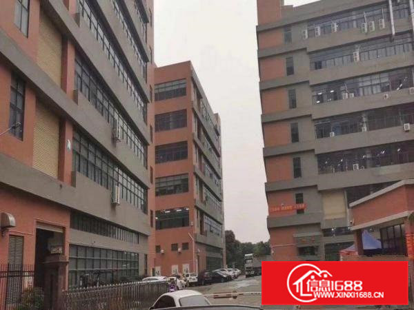 原房东二楼1500平，精装办公室装修