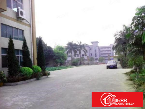 原房东独院厂房三层5500平方米按需分租