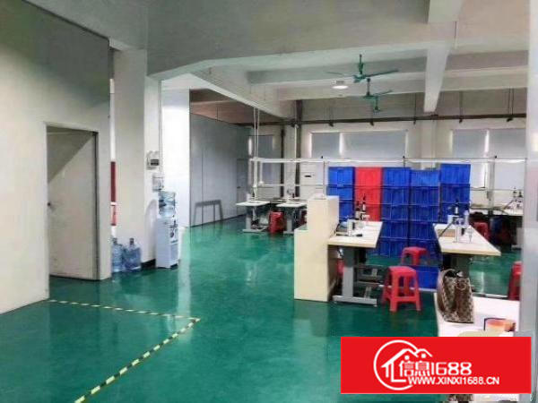 出租茶山城区，256平，价格便宜，水电齐全，位置好，急租急租