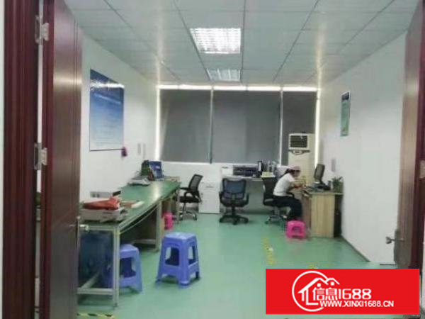 龙华大浪高新产业园厂房出租