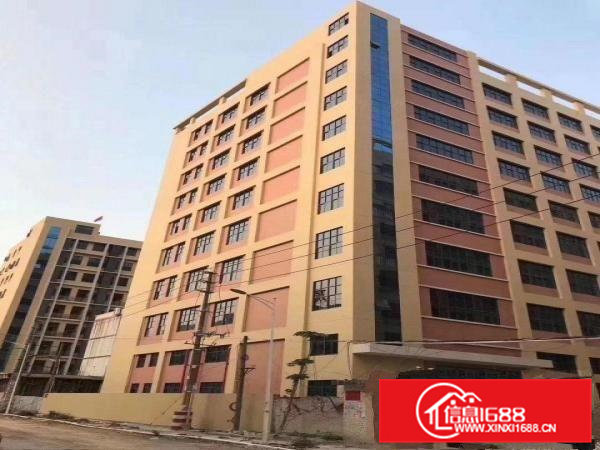 凤岗碧湖大道边上业主新建工业园厂房38000平方，可分租