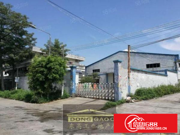 不拆迁，容桂2000方简易厂房，进车方便，证件齐全