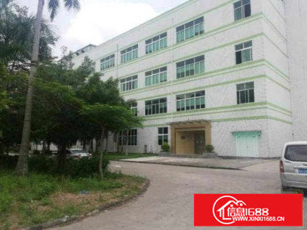 官窑红星1楼精致装修560平厂房出租